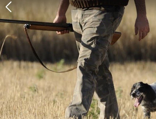 На Кіровоградщині у перші дні полювання оштрафували шістьох порушників